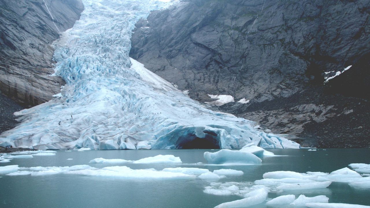 a la rencontre des baleines glacier