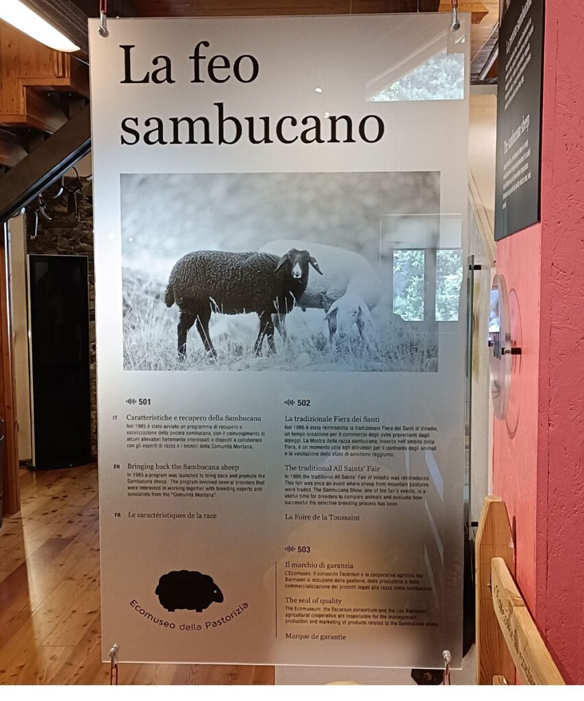 la feo sambucano