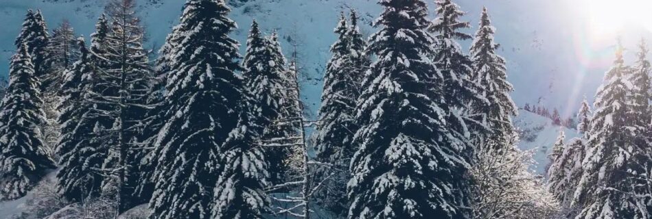 un paradis hivernal pour les amateurs de ski présentation