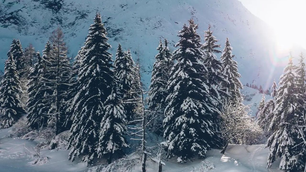 un paradis hivernal pour les amateurs de ski présentation