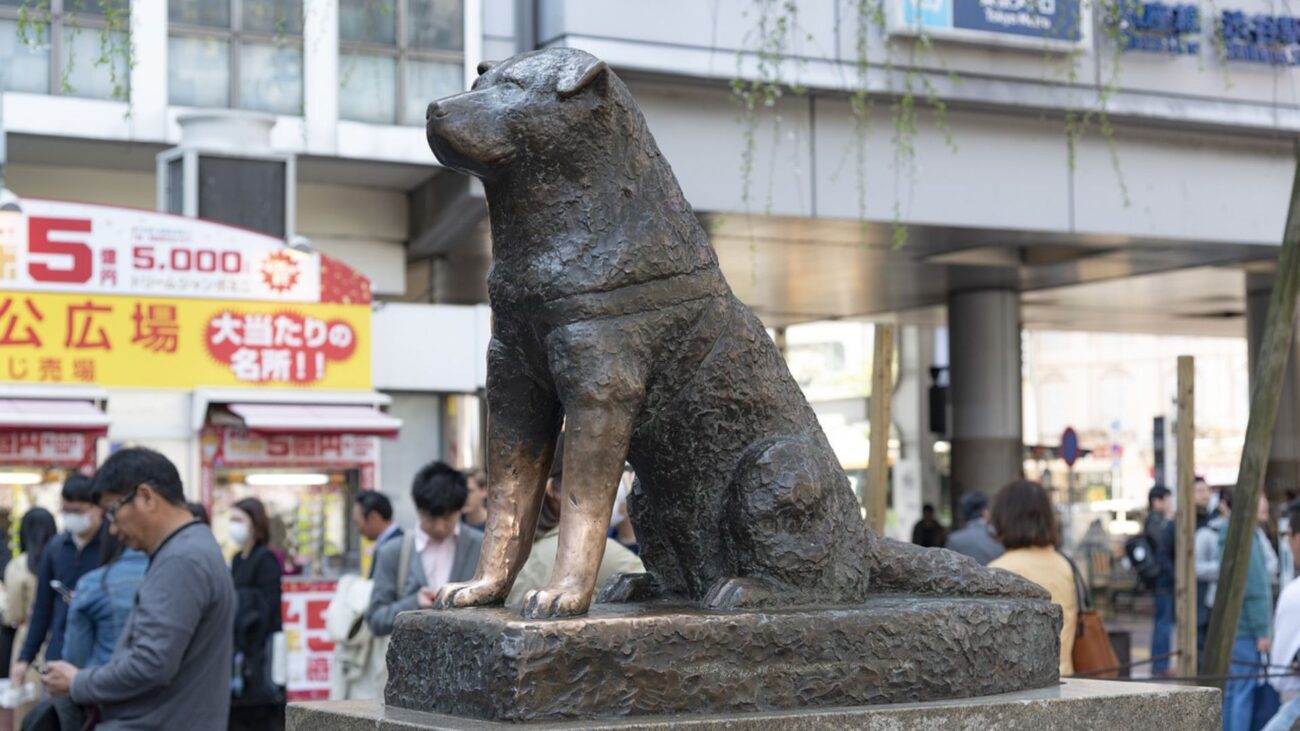 Que visiter à Tokyo hachiko