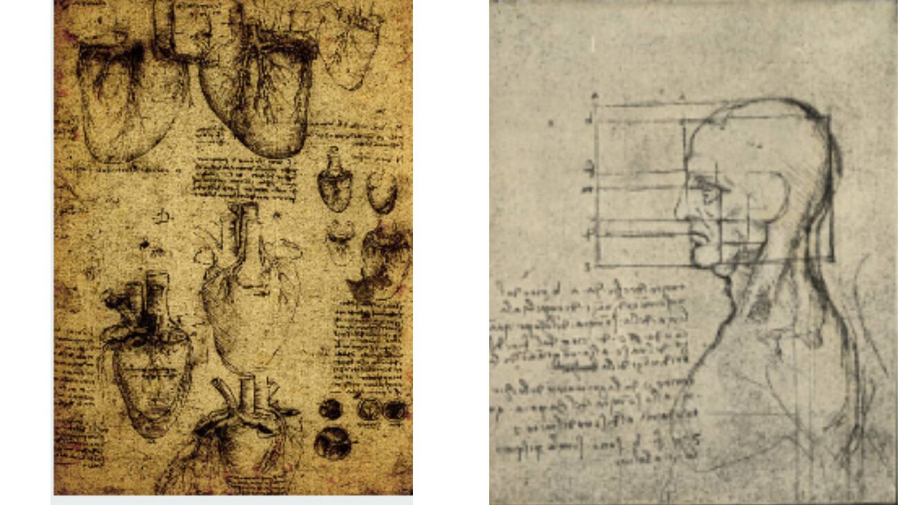 coeur et tête descripion précise