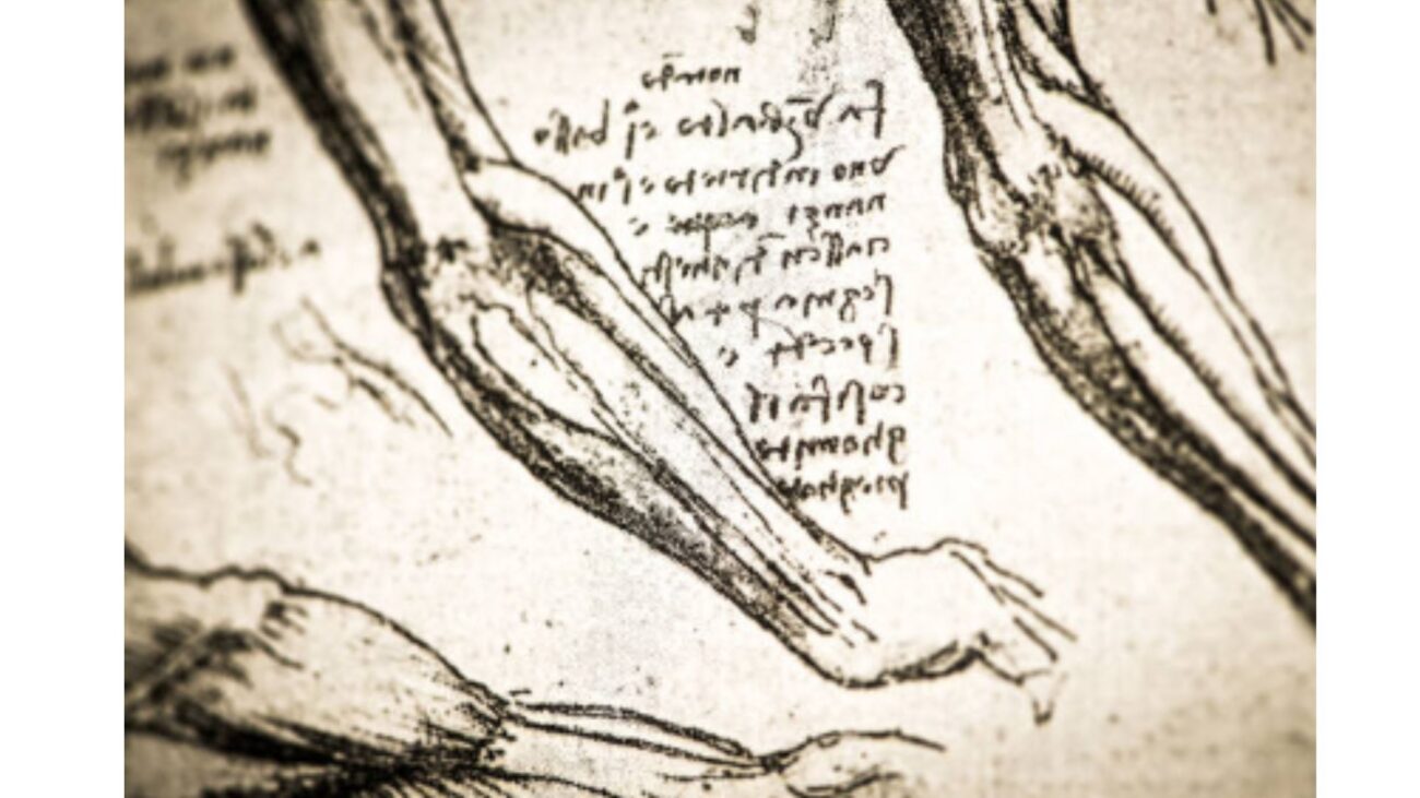 Leonard de Vinci le genie visionnaire mains