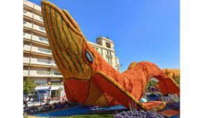 La baleine