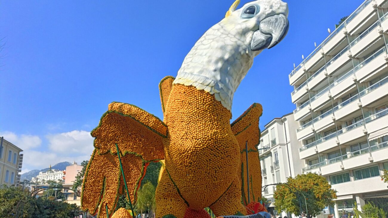 la fête du citron à Menton le perroquet